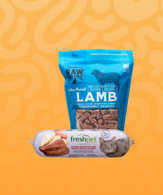 成人 玩具 香港 - 專業指南和評測