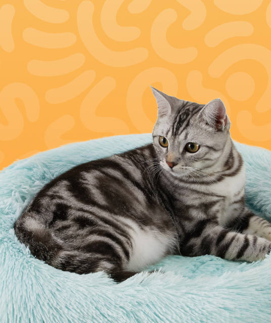 觀 塘 成人 玩具 - medical grade silicone adult toys