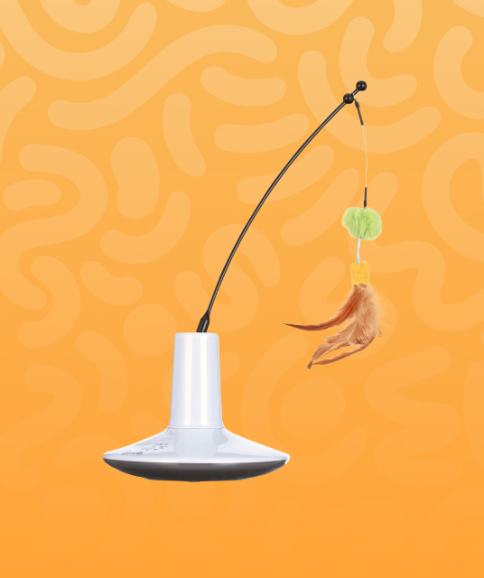 口交 套 - couple using oral dam safely