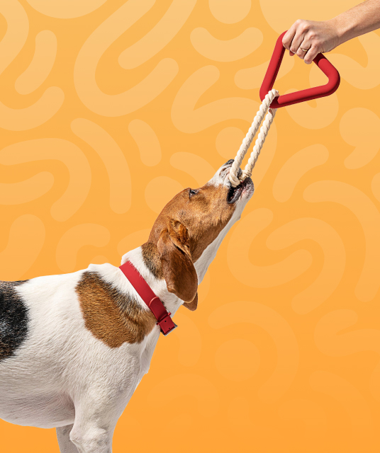 durex sizes - happy couple after buying correct condom size