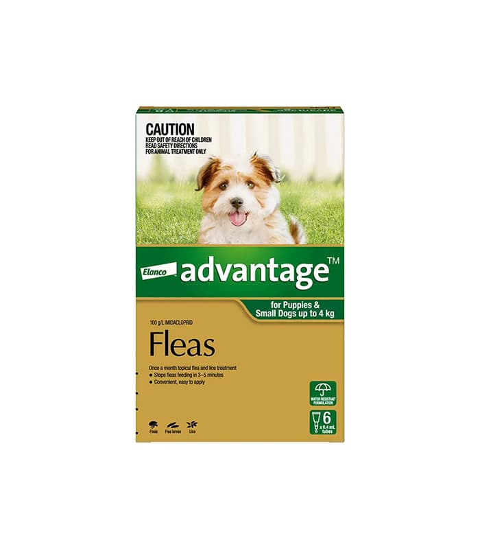 lovense - busy hong kong mtr commuters smartphone