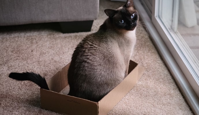 IPX7 waterproof masturbator test