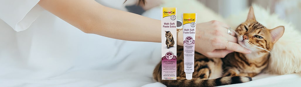 吸 乳頭 - 專業指南和評測