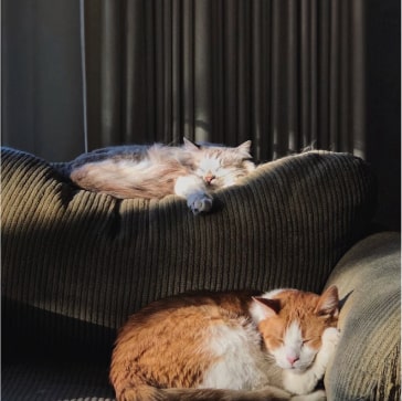 吸 乳頭 - nipple suction toy step by step guide